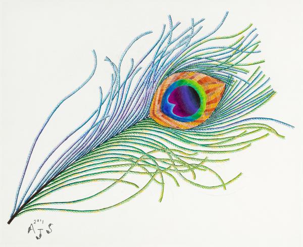 Peacock Feather